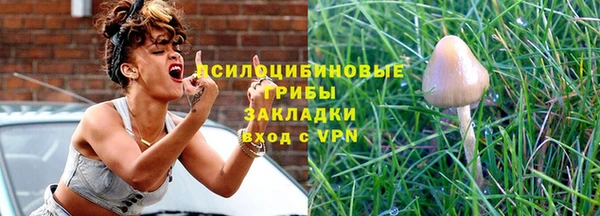 меф Инта