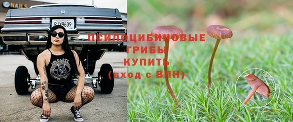 меф Инта